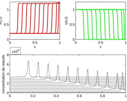 Figure 4.5 – Modèle de propagation de flamme de Dwyer-Sanders : fronts de température, de densité de masse et mouvement de la grille aux instants t = 0.15, 0.3 × 10 −3 , 0.6 × 10 −3 :0.6 × 10 −3 : 0.6 × 10 −2 , grille mobile avec N = 100 noeuds.