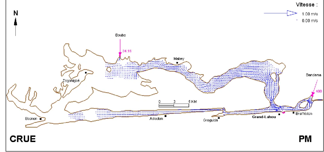 Figure 42 : Champs de courants dans le système Grand-Lahou en crue et à pm