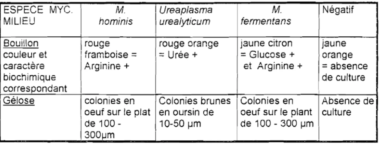 Tableau n° 1 : A.spect des colonies de mycoplasme selon l'espèce et le type de milieu de culture.