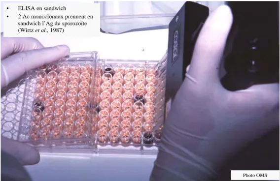 Illustration 8: détermination du taux d’infection par la technique d’Elisa-CSP   (Wirtz et al., 1987) 