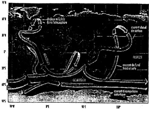Figure  2.1  :  Le  celebre tapis  roulant oceanique  (&#34;conveyor  belt&#34;), 