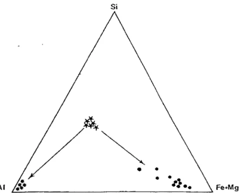 Figure 27 b- Représentation chémio-graphique de f'affération de  fa  tourmaline  (~.  en gibbsite {•),  et en goethite (•)dans le système Si-Al- Fe  +  Mg