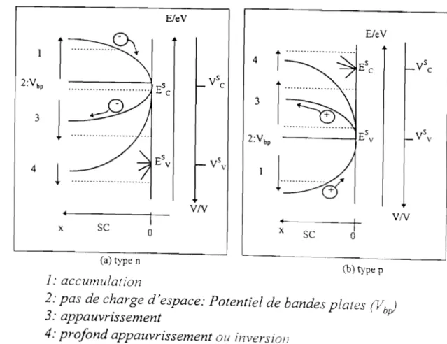 Figure 1.2: Représentation schématique des  4  situations possibles de  la zone de  la charge d'espace d'un semiconducteur 