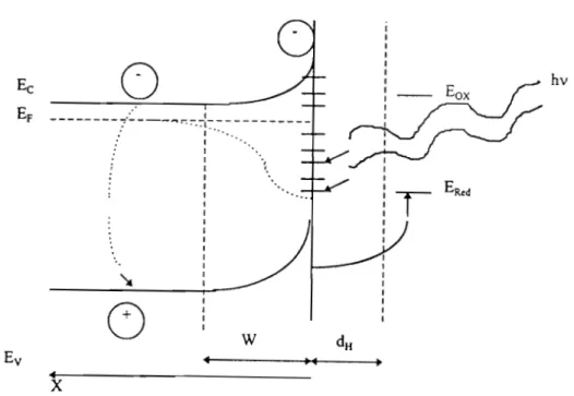 Figure 115: Possibilités de  transfert électronique à l'interface  semiconducteur/électrolyte sous éclairement