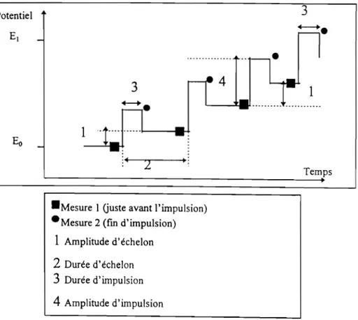 Figure 1.18:  Signal de potentiel appliqué aux électrodes en polarographie  impulsionnelle différentielle 