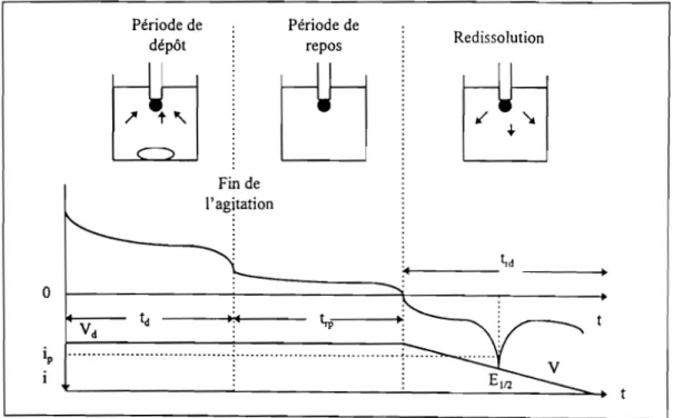 Figure 1.19: Principe d'une analyse par redissolution anodique  E.  COMBINAISON COULOMETRIE-POLAROGRAPHIE 