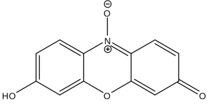 Figure 4.1: Structure chimique de la rezasurine (C 12 H 7 NO 4 ). 