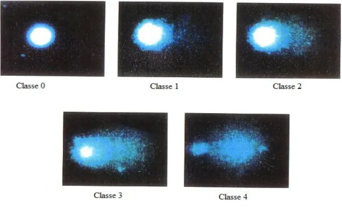 Figure 11 : Les différentes classes de comètes. 