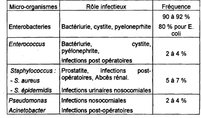 Tableau n° Il : Principales bactéries source d'infection urinaire (14)