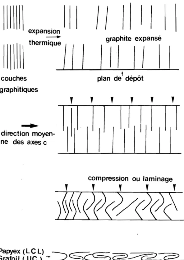 Figure  8  - Processus  de  la  preparation  du  papyex. 