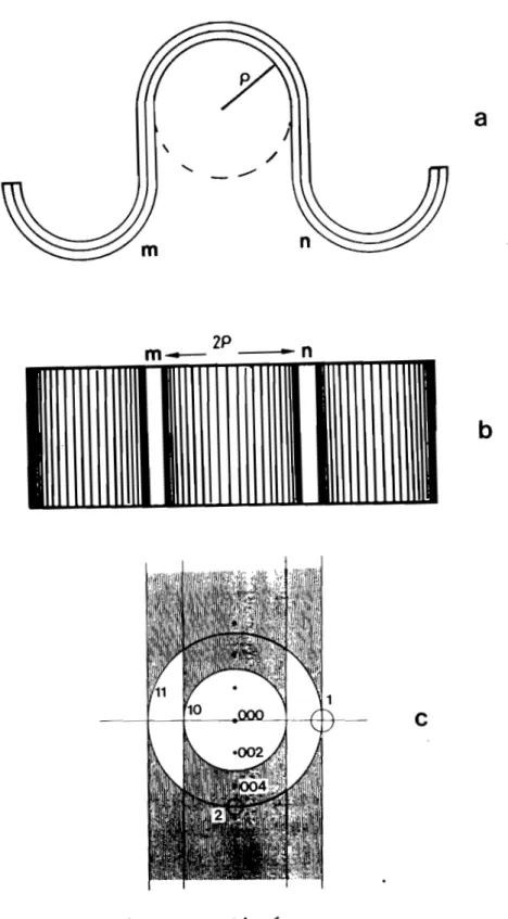 Figure  14  - Pyrocarbone  fortement  plissé. 