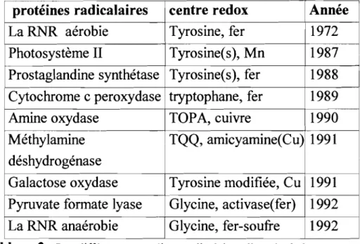 Figure I l : Résidus constituant l'environnement du radical tyrosinyle de la protéine R2.