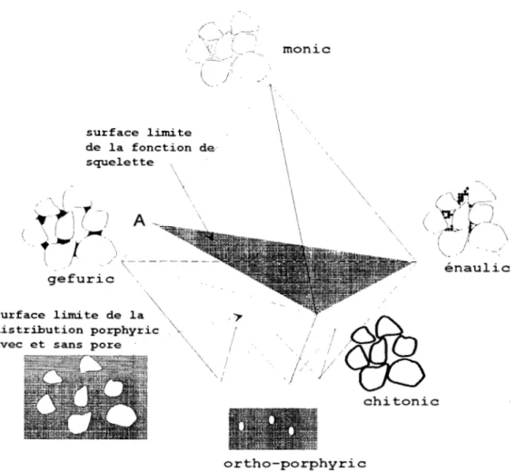 Fig.  Il:  Diagramme des différents types de distribution de  base entre grains du  squelette et  particulesfines (plŒ'mw)  ; d'après  STOOPS  et  JONGERIU,)'  (1975)
