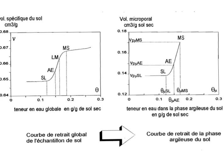 Fig.  22 - Courbe de retrait de la phase argileuse du sol; d'après  BRAUDEAU  et  BRUAND  (1993)