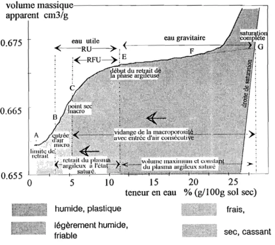 Fig.  23 - Représentation des caractéristiques des différentes phases de retrait; d'après  BRAUDEAU (1992) 