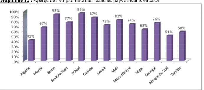 Graphique 12 : Aperçu de l’emploi informel 6 dans les pays africains en 2009