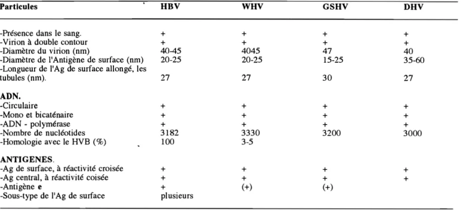 Tableau  4  bis:  Biologie  moléculaire  des  hepadnavirus  (76). 