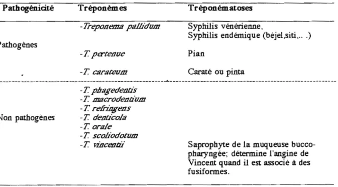 Tableau  6:  Classification et rôles  pathogènes de quelques  tréponèmes. 