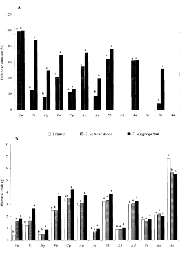 Figure  1:  Influence  de  l'inoculation  avec  G.  aggregatum  et  G.  intraradices  sur  le  taux  de  mycorhization  (A)  et  la  biomasse totale  produite  (B)  chez  13  fruitiers  du  Sénégal