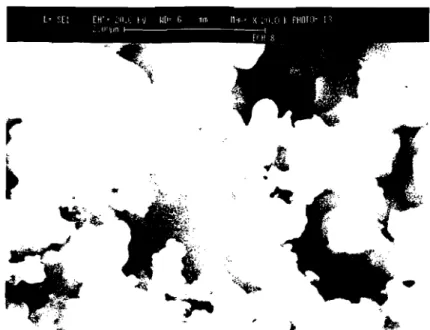 Figure 7: photographie en microscopie électronique du verre de composition O,40Na20-0,60Si02.