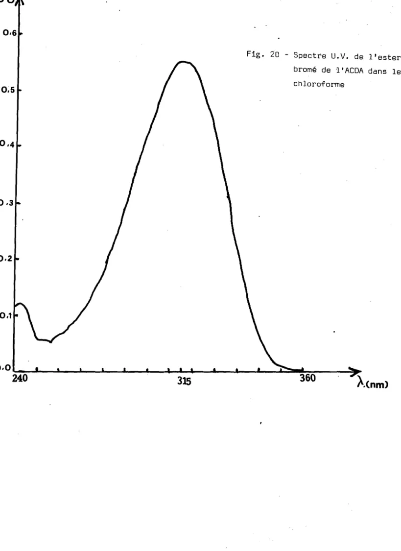 Fig. 20 - Spectre U.V. de l'ester bromé de l'ACDA dans le chloroforme