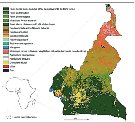 Figure 1 : Zone d’étude et types de couverts végétaux du Cameroun (source : Verhegghen A