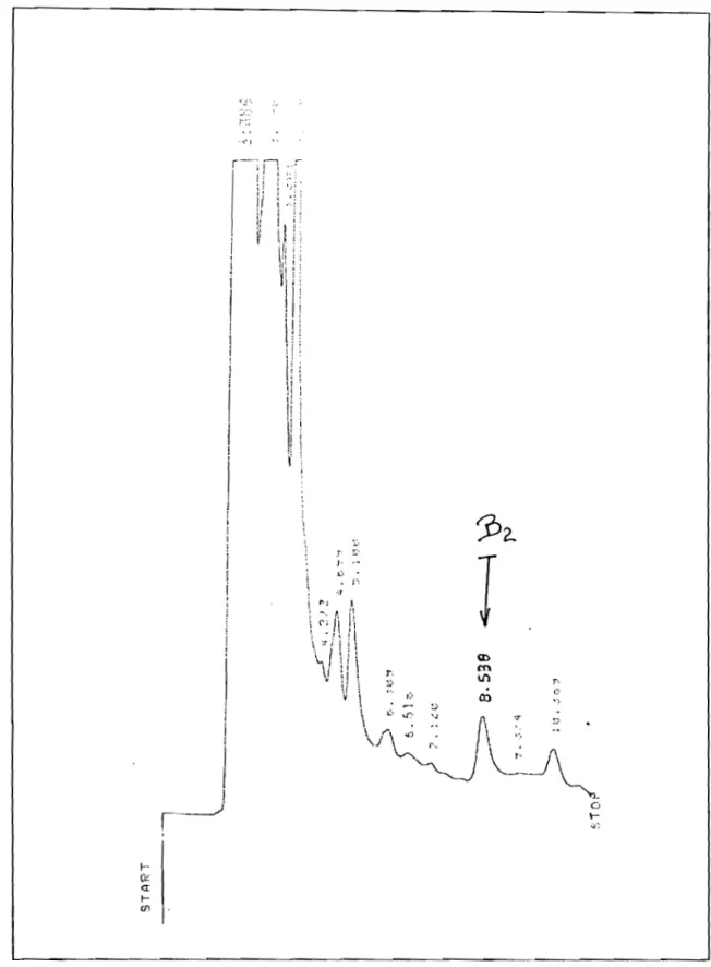 Figure 3 : Chromatogramme d'un extrait de farine A 