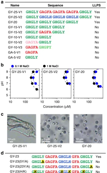 Fig. 3 LLPS properties of HBP-1 and -2 derived peptides. a Sequences and their ability to undergo LLPS