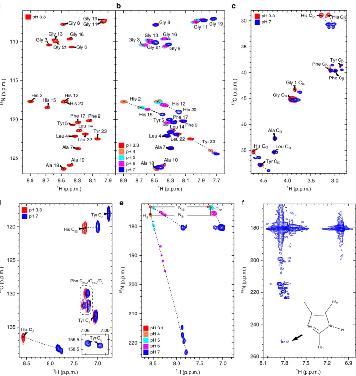 Fig. 4 NMR spectra of GY-23 peptide at different pH values (cross-peak trajectories marked with dashed lines)