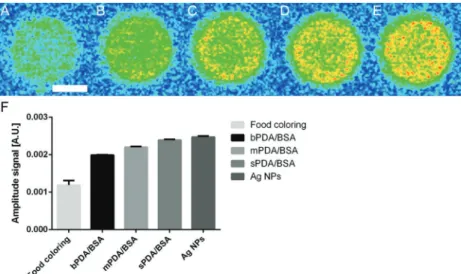 Figure 3.   A) Change in temperature measured for the different fluids under irradiation: bPDA/BSA (black line), food coloring (green line), Tris-HCl  buffered water (red line), and bPDA/BSA without sun (blue line)