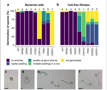 FIGURE 5 | Perturbed development of germinated spores of B. cinerea.
