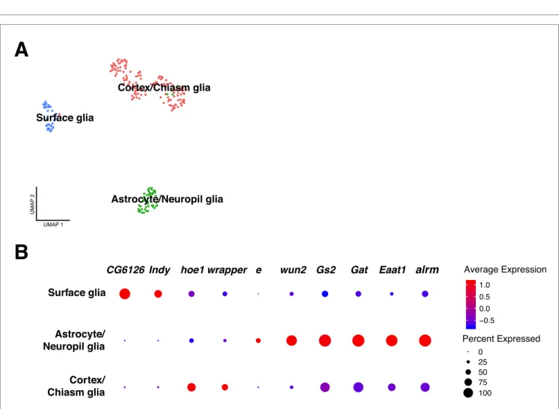 Figure 5 continued