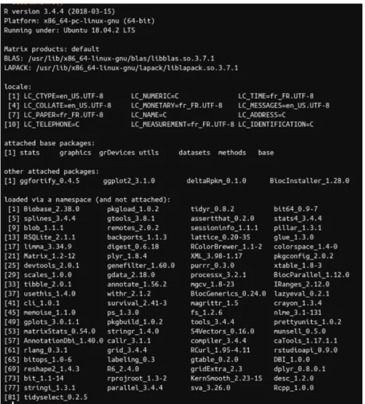 Figure 12: Session info in R 3.4.4, with RStudio 1.1.463, run under Ubuntu 18.04.2 LTS.