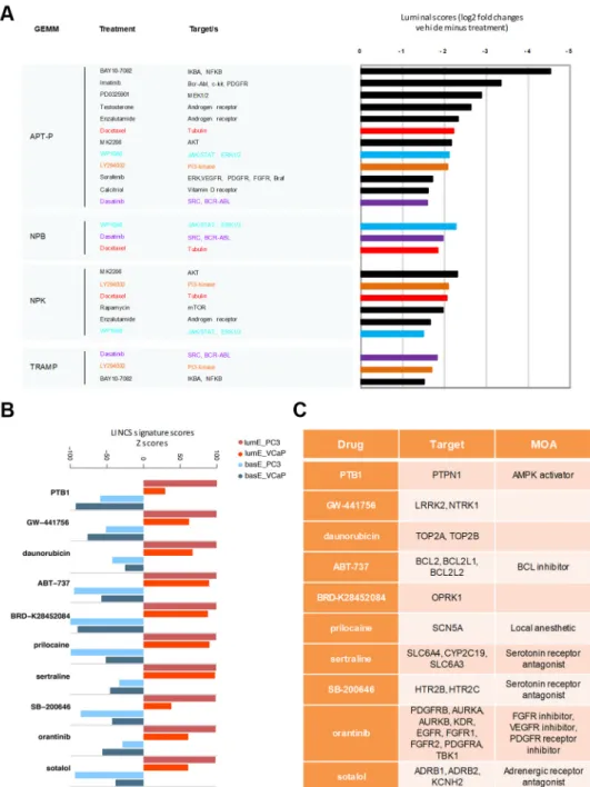 Figure 8. Identification of compounds enhancing luminal metagene enrichment. (A) Compounds  increasing luminal metagene scores (≥2-fold change) in the indicated mouse models