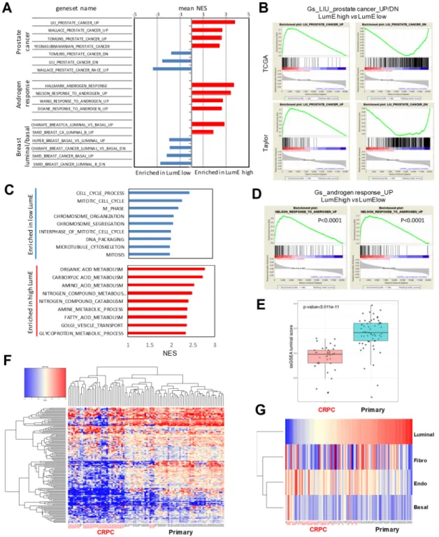 Figure 3. Luminal metagene score is associated with androgen receptor signaling and is attenuated  in castration-resistant prostate tumors