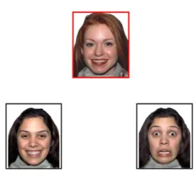 Figure 2.4. Emotion matching task (two-alternative forced-choice). The participant must choose which  expression matches the target expression outlined in red