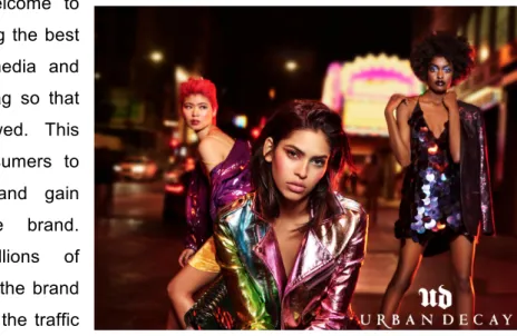 Figure 14 Urban Decay All Nighter Campaign