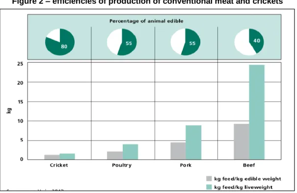 Figure 2 – efficiencies of production of conventional meat and crickets 