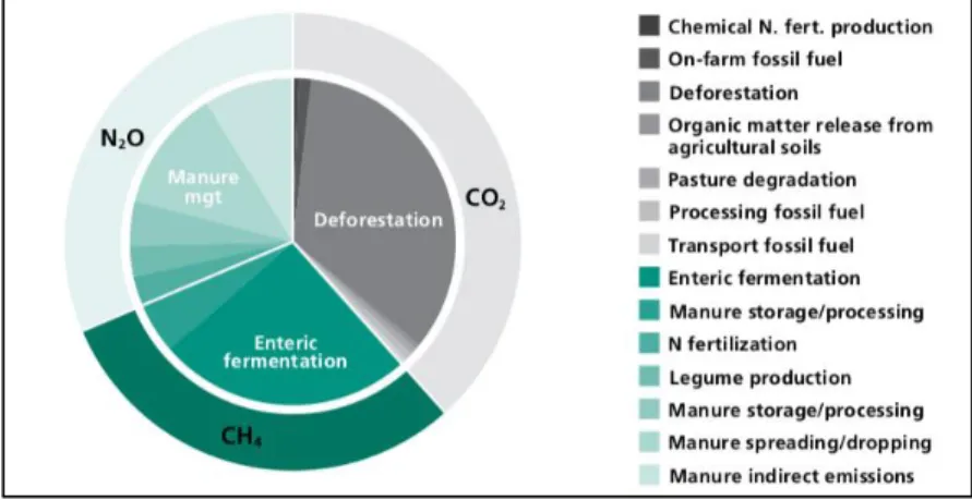 Figure 3 – Relative GHG contributions along the livestock food chain 