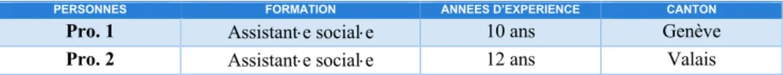 FIGURE 3 : ÉCHANTILLON DES PROFESSIONNEL×LE×S INTERROGÉ×E×S 