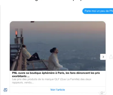 Figure 11 : Article proposé 