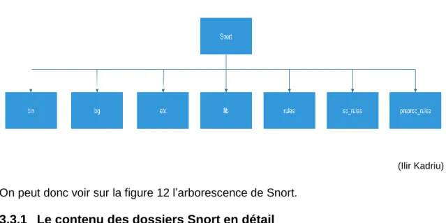 Figure 12 : Composition de Snort 