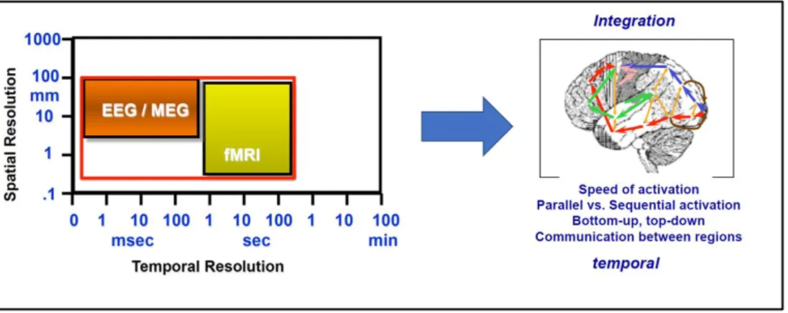 Figure 4. Temporal resolution in EEG compared to fMRI (functional magnetic resonance imaging)