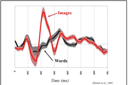 Figure 8. Example of ERPs. Comparison between two conditions (words vs. images) 