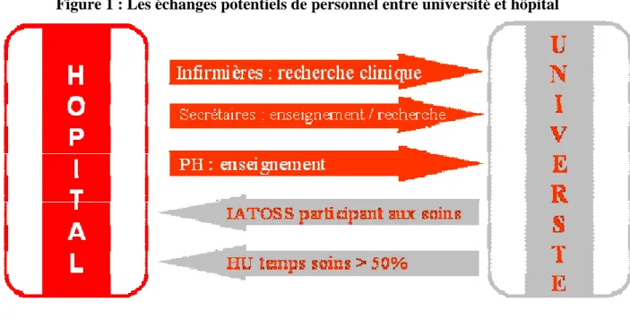 Figure 1 : Les échanges potentiels de personnel entre université et hôpital 