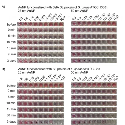 Figure  SI1  Results  on the  ionic  stability  of  S-layer  functionalized AuNP  for  two  S-layer  proteins  and  two  different  AuNP  sizes  incubated with 10 % NaCl