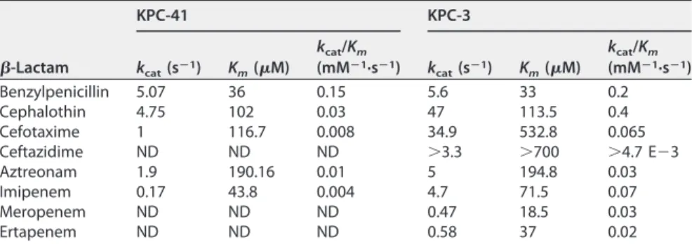 FIG 2 Analysis of ceftazidime hydrolysis. (A) KPC-41 and KPC-3 (1 ␮M enzyme) hydrolysis of 25 ␮M ceftazidime (CAZ) at room temperature