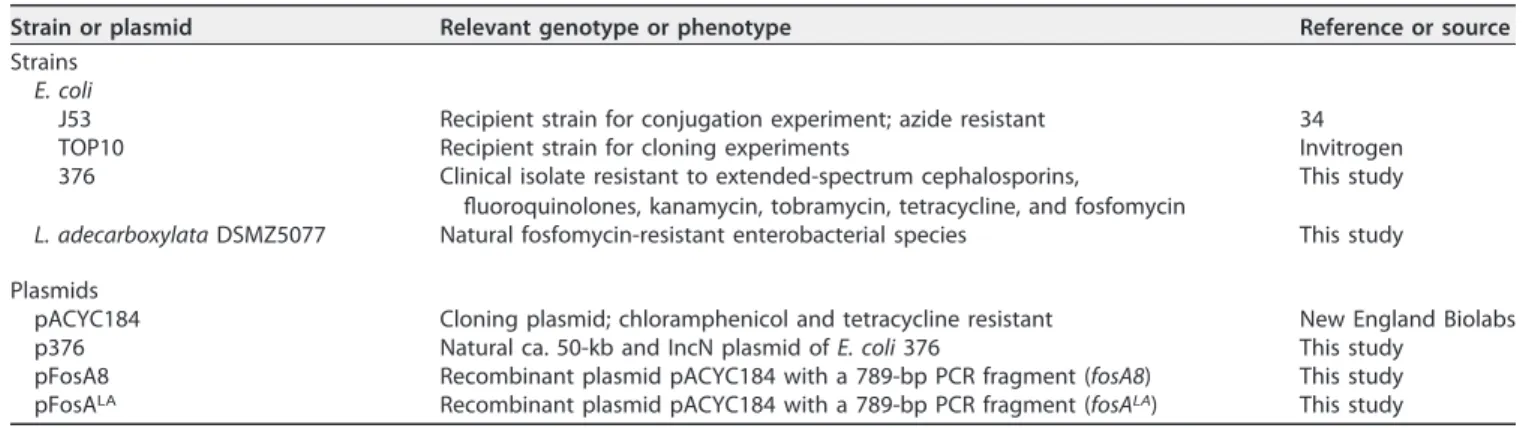 TABLE 1 Strains and plasmids used in this study