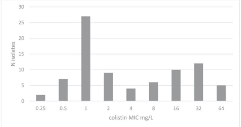 Fig. 1 Distribution of colistin MICs of Acinetobacter