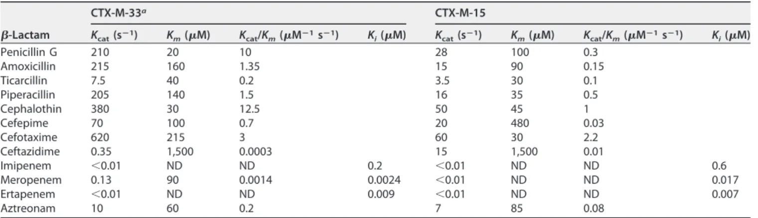 TABLE 3 IC 50 values for different ␤ -lactamase inhibitors against CTX-M-33 and CTX-M-15